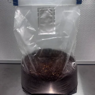 3lb Ready-to-Fruit Bag